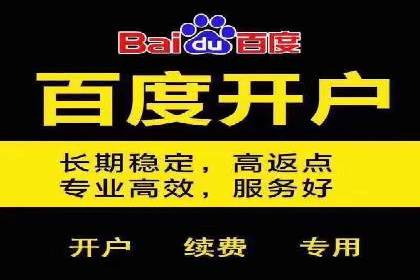 SEM代运营案例：品牌影响力提升